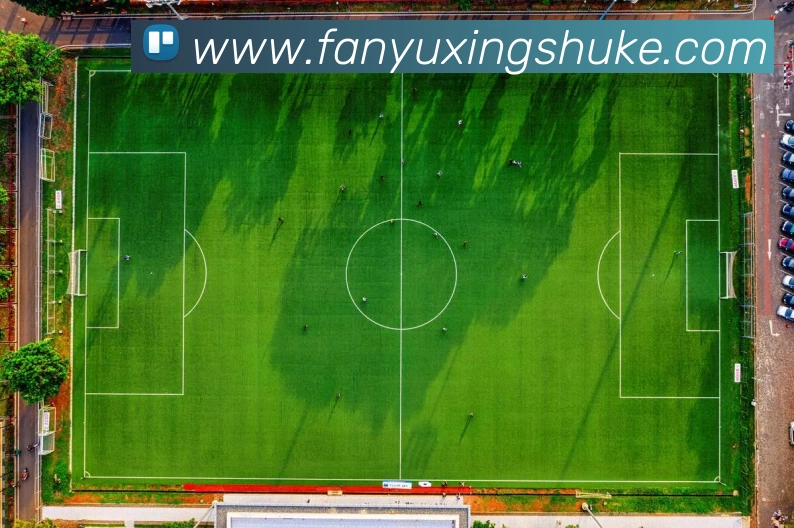 开云APP 体育赛事宣传图